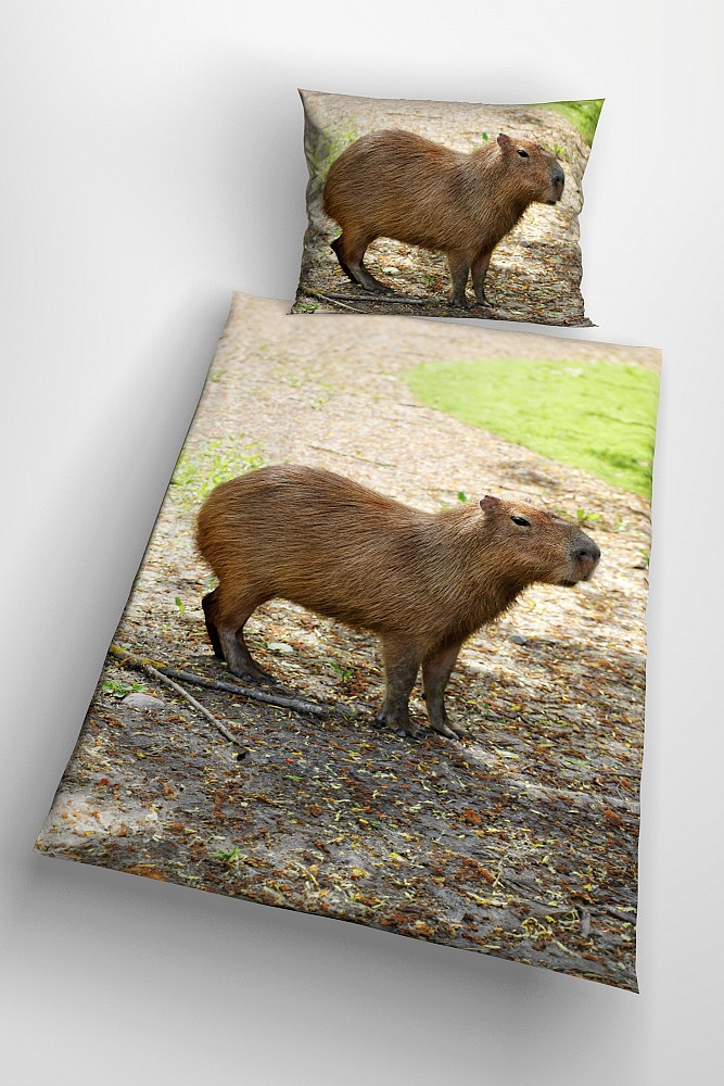 Capybara