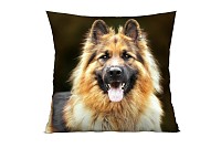 Alsatian