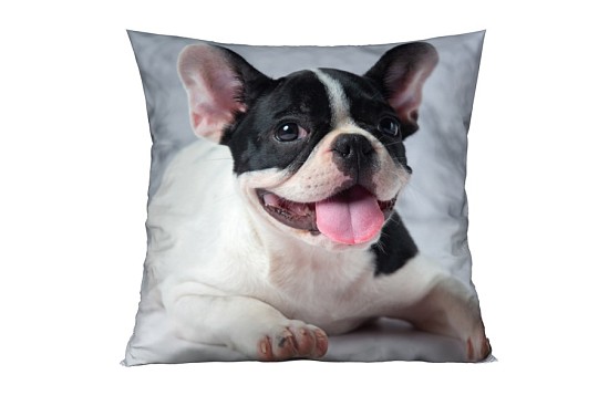 Dekoračné vankúšiky Bulldog