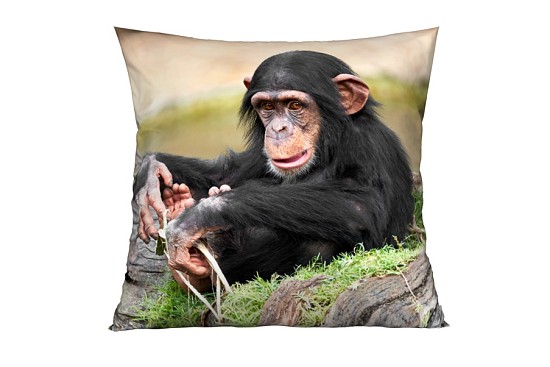 Dekoračné vankúšiky Chimpanzee
