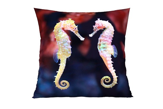 Dekoračné vankúšiky Seahorse