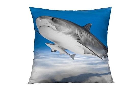 Dekoračné vankúšiky Shark